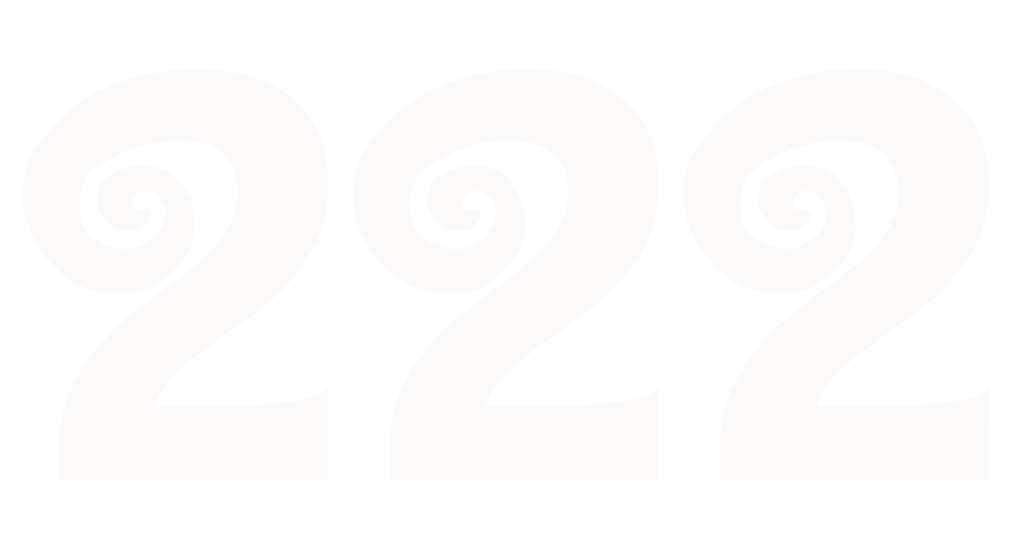 222 Logo